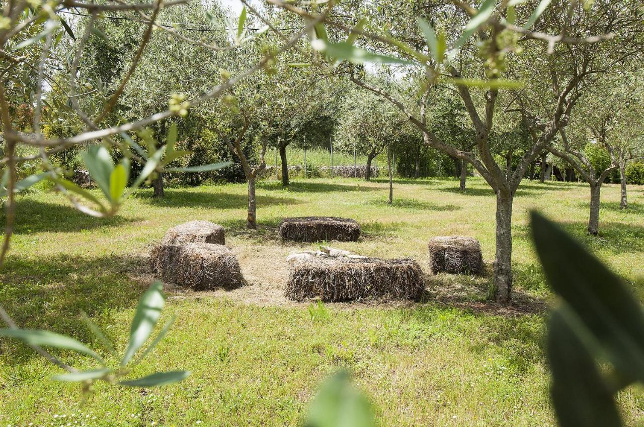 B&B Trulli Valle D'Itria Martina Franca Exteriör bild