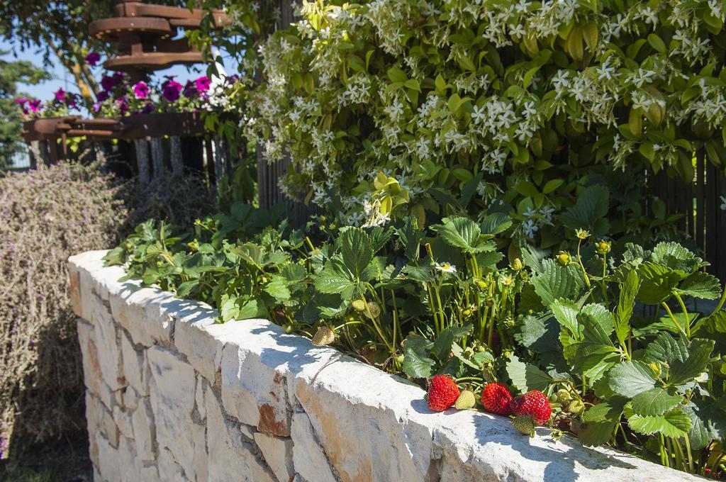 B&B Trulli Valle D'Itria Martina Franca Exteriör bild